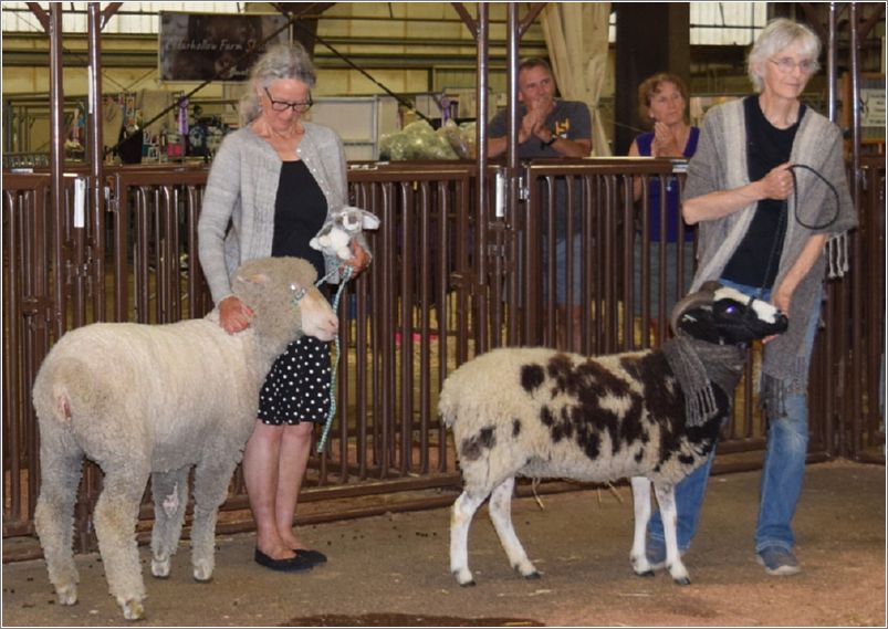 Tops scorers non-animal owner Lucelle Hoefnagels wearing her knitted sweater (left) and animal owner Robin Lynde modeling her woven Jacob wool shawl. Photo: Peggy Lundquist.